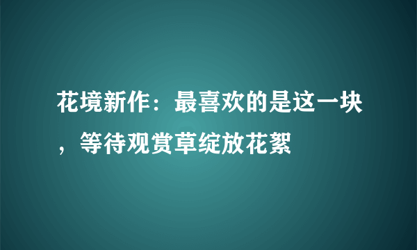 花境新作：最喜欢的是这一块，等待观赏草绽放花絮