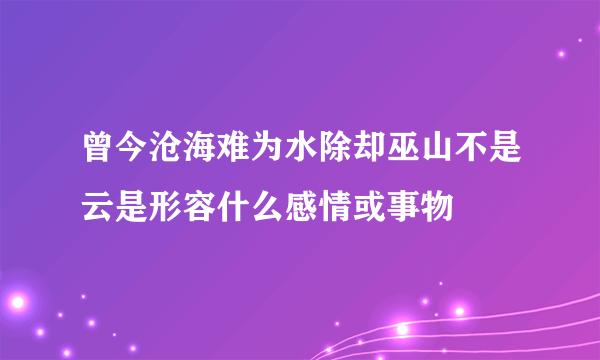 曾今沧海难为水除却巫山不是云是形容什么感情或事物