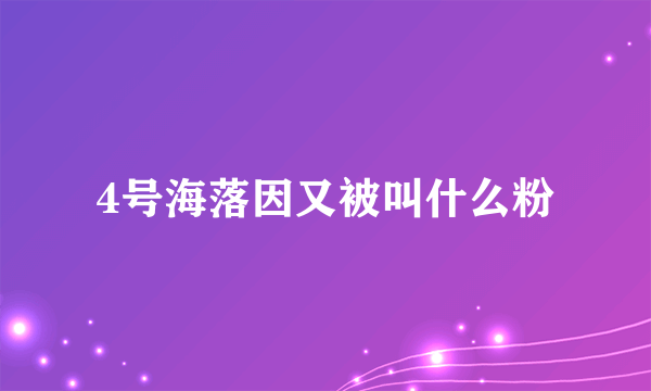 4号海落因又被叫什么粉