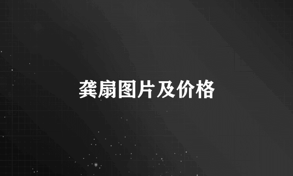 龚扇图片及价格