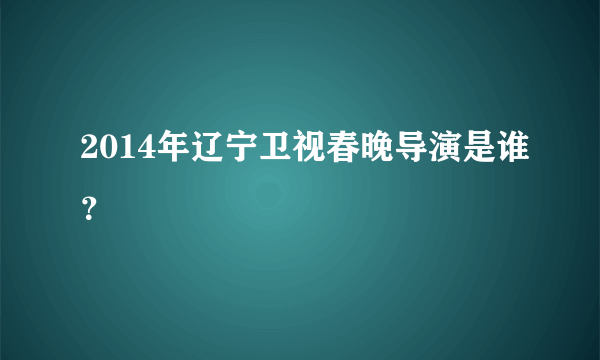 2014年辽宁卫视春晚导演是谁？