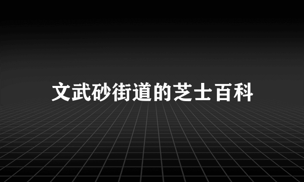 文武砂街道的芝士百科