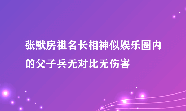 张默房祖名长相神似娱乐圈内的父子兵无对比无伤害