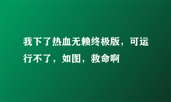 我下了热血无赖终极版，可运行不了，如图，救命啊