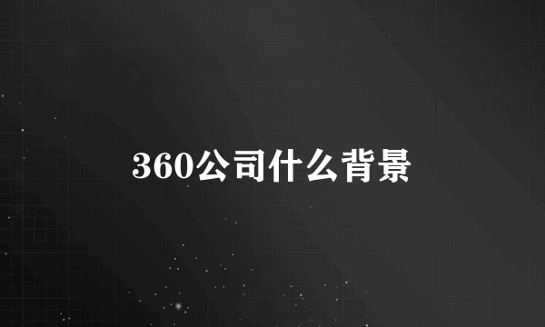 360公司什么背景