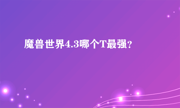 魔兽世界4.3哪个T最强？