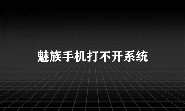 魅族手机打不开系统