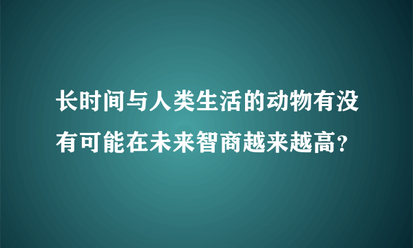 长时间与人类生活的动物有没有可能在未来智商越来越高？