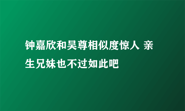 钟嘉欣和吴尊相似度惊人 亲生兄妹也不过如此吧