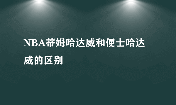 NBA蒂姆哈达威和便士哈达威的区别