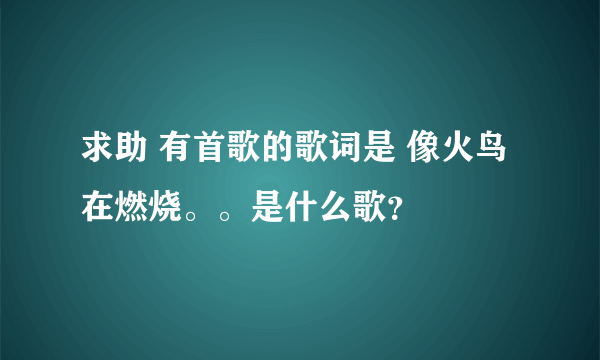 求助 有首歌的歌词是 像火鸟在燃烧。。是什么歌？