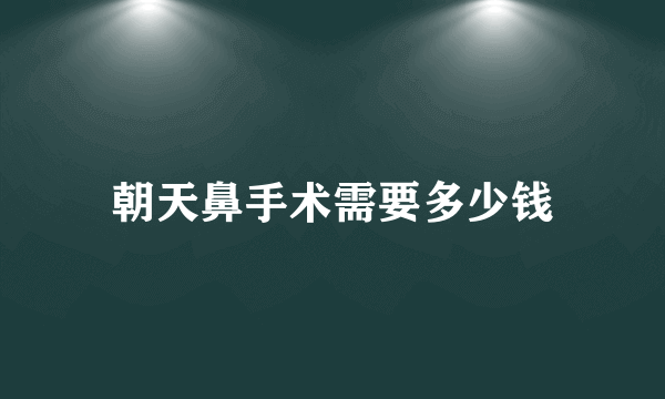 朝天鼻手术需要多少钱