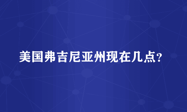 美国弗吉尼亚州现在几点？