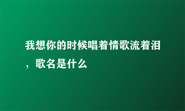 我想你的时候唱着情歌流着泪，歌名是什么