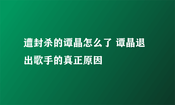 遭封杀的谭晶怎么了 谭晶退出歌手的真正原因