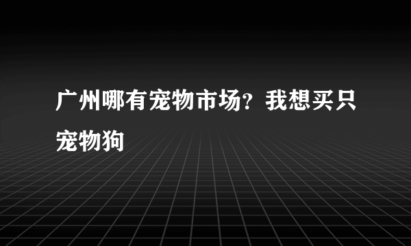 广州哪有宠物市场？我想买只宠物狗