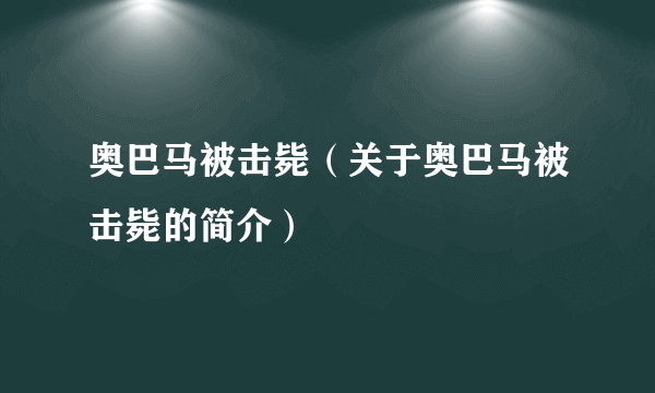 奥巴马被击毙（关于奥巴马被击毙的简介）