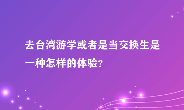 去台湾游学或者是当交换生是一种怎样的体验？