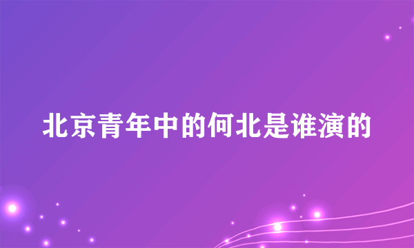 北京青年中的何北是谁演的