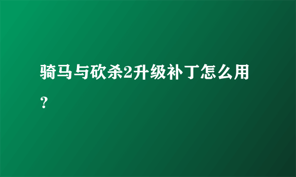 骑马与砍杀2升级补丁怎么用？