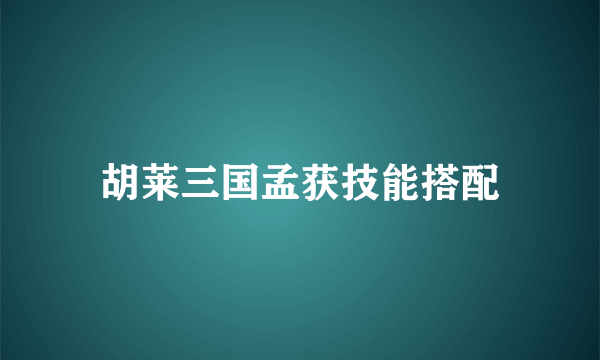 胡莱三国孟获技能搭配