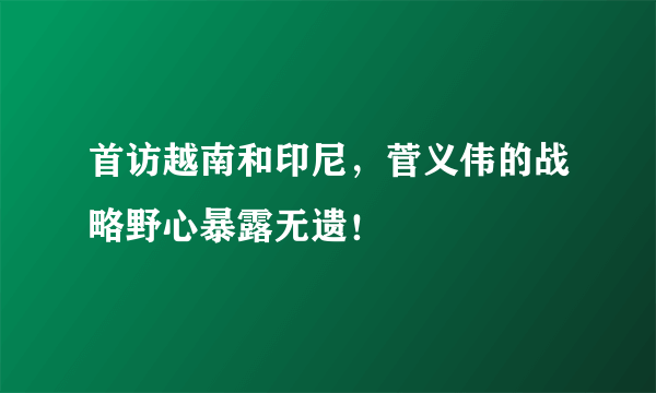 首访越南和印尼，菅义伟的战略野心暴露无遗！