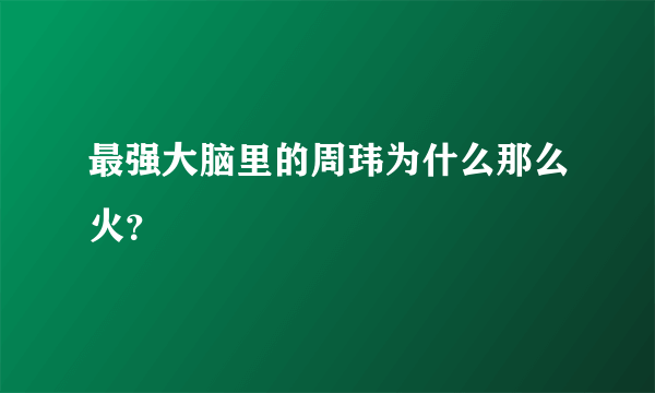 最强大脑里的周玮为什么那么火？