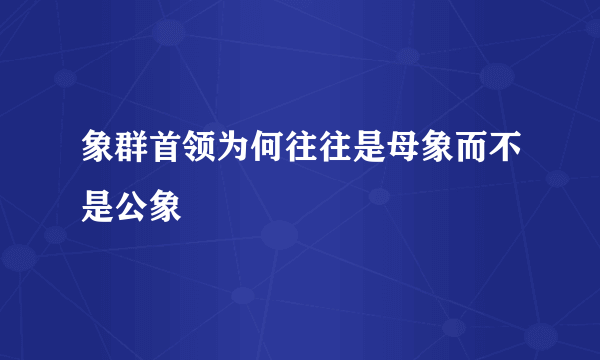 象群首领为何往往是母象而不是公象