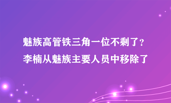 魅族高管铁三角一位不剩了？李楠从魅族主要人员中移除了