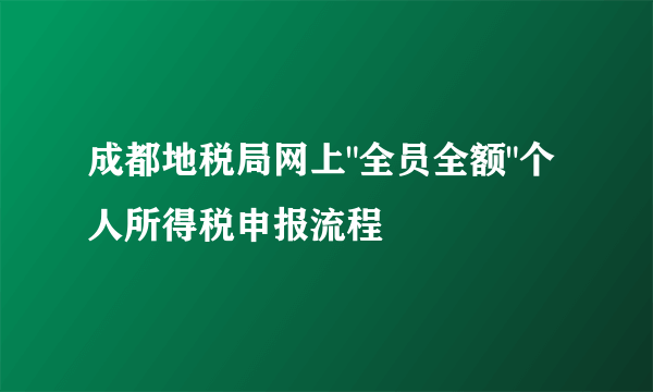 成都地税局网上