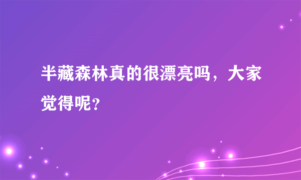 半藏森林真的很漂亮吗，大家觉得呢？