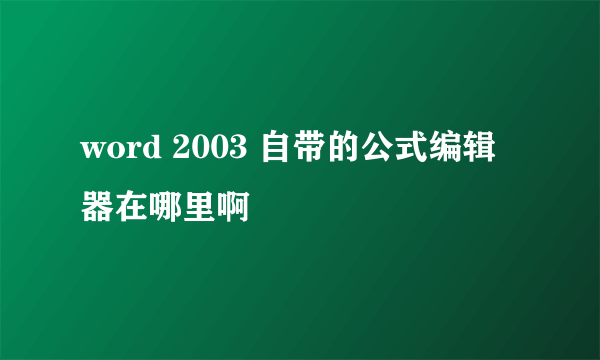 word 2003 自带的公式编辑器在哪里啊