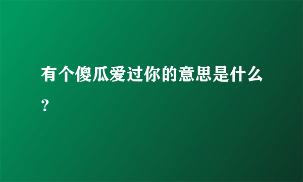 有个傻瓜爱过你的意思是什么？