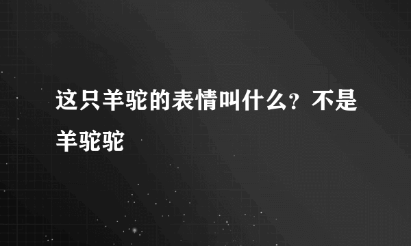 这只羊驼的表情叫什么？不是羊驼驼