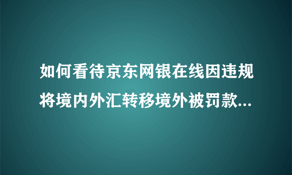 如何看待京东网银在线因违规将境内外汇转移境外被罚款2943万？