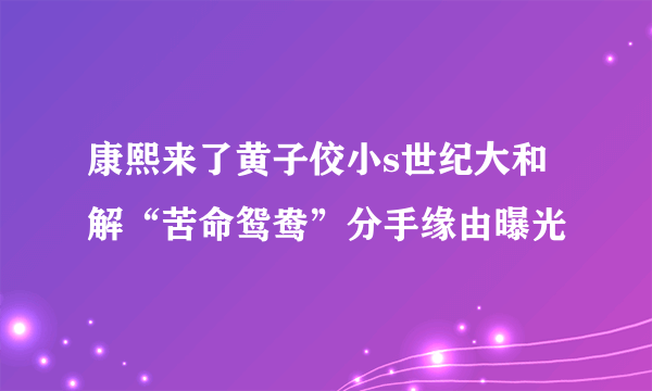 康熙来了黄子佼小s世纪大和解“苦命鸳鸯”分手缘由曝光