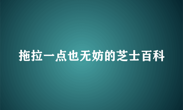 拖拉一点也无妨的芝士百科