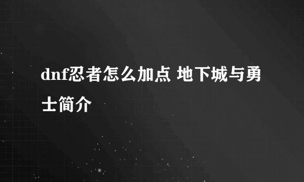 dnf忍者怎么加点 地下城与勇士简介