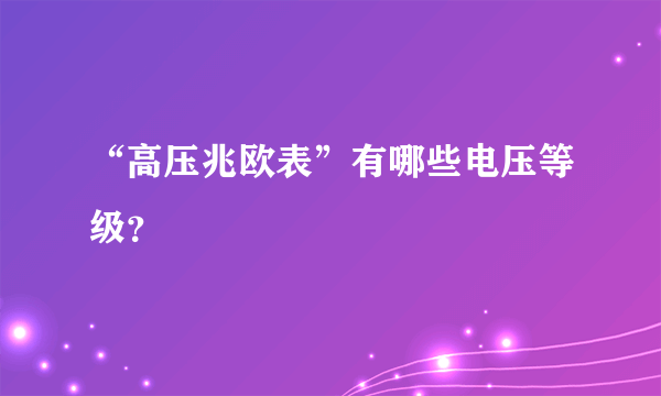 “高压兆欧表”有哪些电压等级？