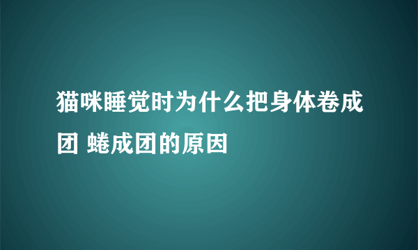 猫咪睡觉时为什么把身体卷成团 蜷成团的原因