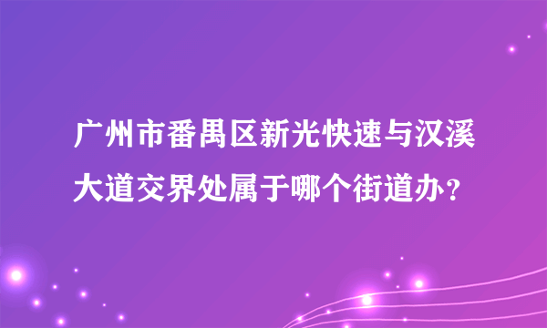 广州市番禺区新光快速与汉溪大道交界处属于哪个街道办？