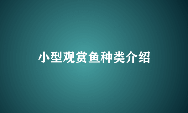 小型观赏鱼种类介绍