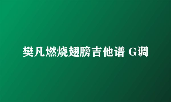 樊凡燃烧翅膀吉他谱 G调