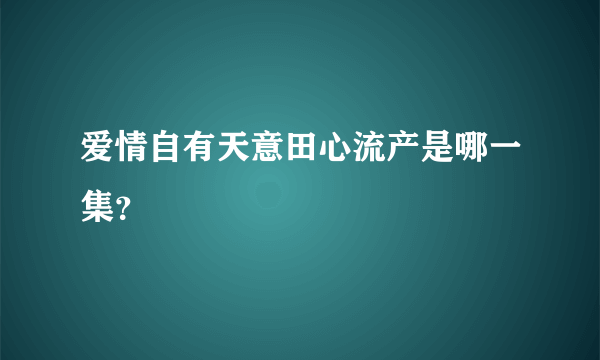 爱情自有天意田心流产是哪一集？