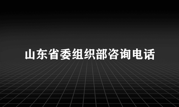 山东省委组织部咨询电话