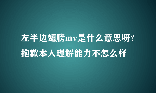 左半边翅膀mv是什么意思呀?抱歉本人理解能力不怎么样