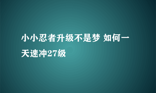 小小忍者升级不是梦 如何一天速冲27级