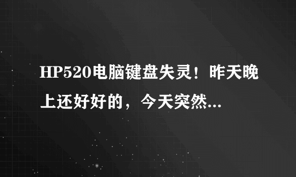 HP520电脑键盘失灵！昨天晚上还好好的，今天突然不行了，重启过，重插过，电源正常