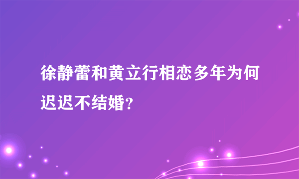 徐静蕾和黄立行相恋多年为何迟迟不结婚？