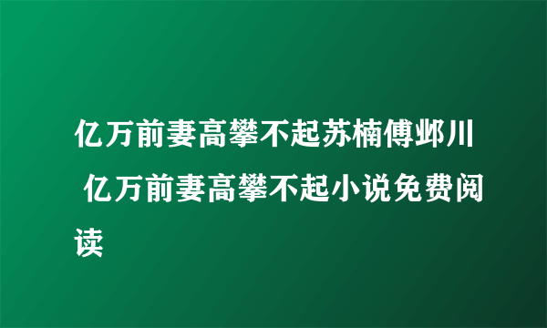 亿万前妻高攀不起苏楠傅邺川 亿万前妻高攀不起小说免费阅读